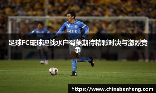 MK体育